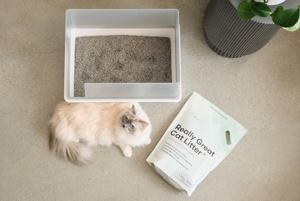 An application scenario or product detail of how often should i clean cat litter box - Image 13