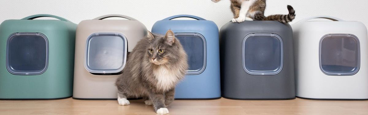 An application scenario or product detail of how often should i clean cat litter box - Image 20