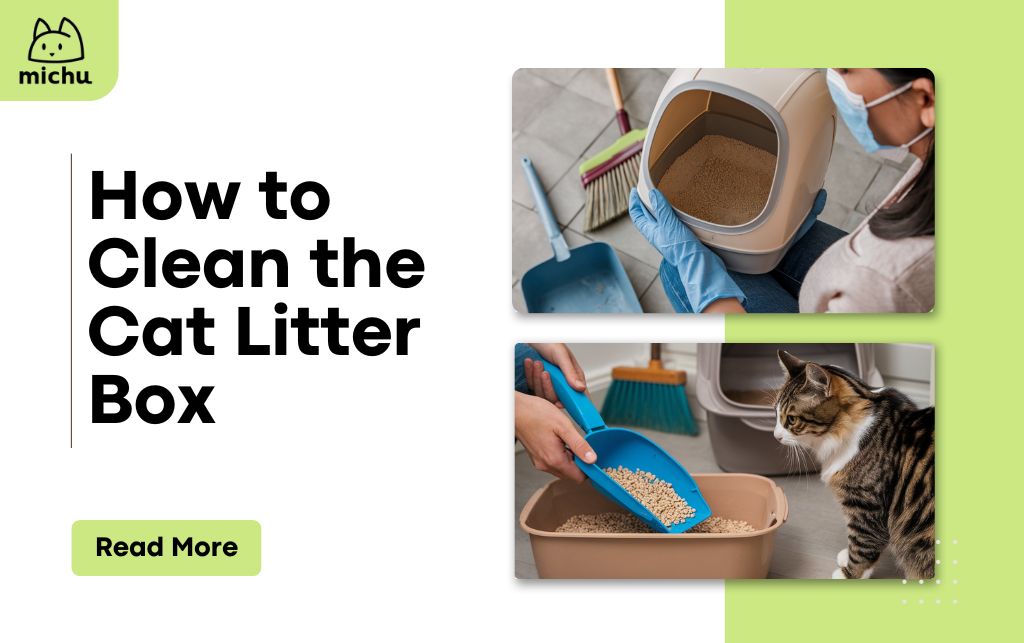 An application scenario or product detail of how often should i clean my cat's litter box - Image 11