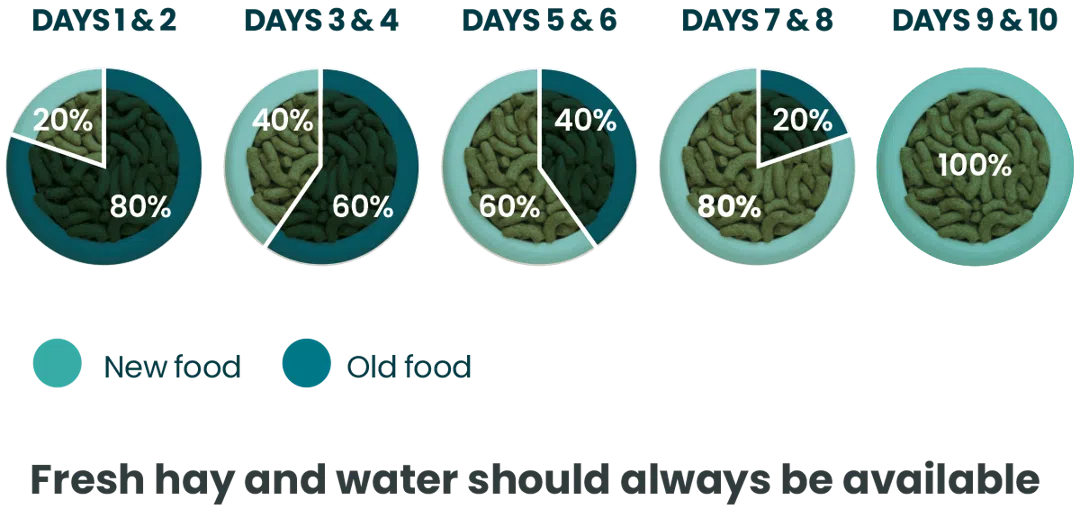 An application scenario or product detail of how often should i feed my rabbit - Image 9
