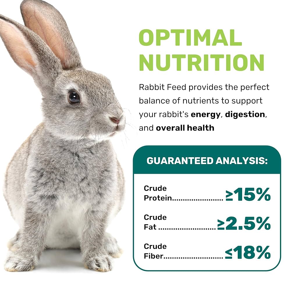 An application scenario or product detail of how often should u feed a rabbit - Image 12