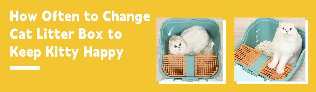 An application scenario or product detail of how often should you change cat litter box - Image 8