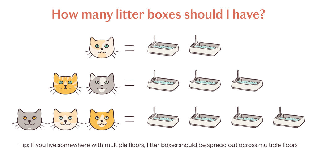 An application scenario or product detail of how often should you change litter box - Image 8