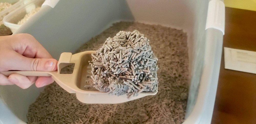 An application scenario or product detail of how often should you change litter box - Image 19