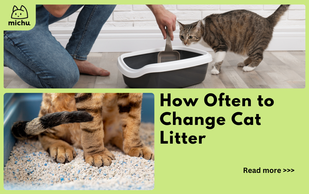 An application scenario or product detail of how often should you change your kitty litter - Image 6
