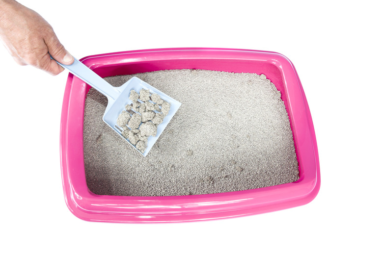 An application scenario or product detail of how often should you change your kitty litter - Image 12