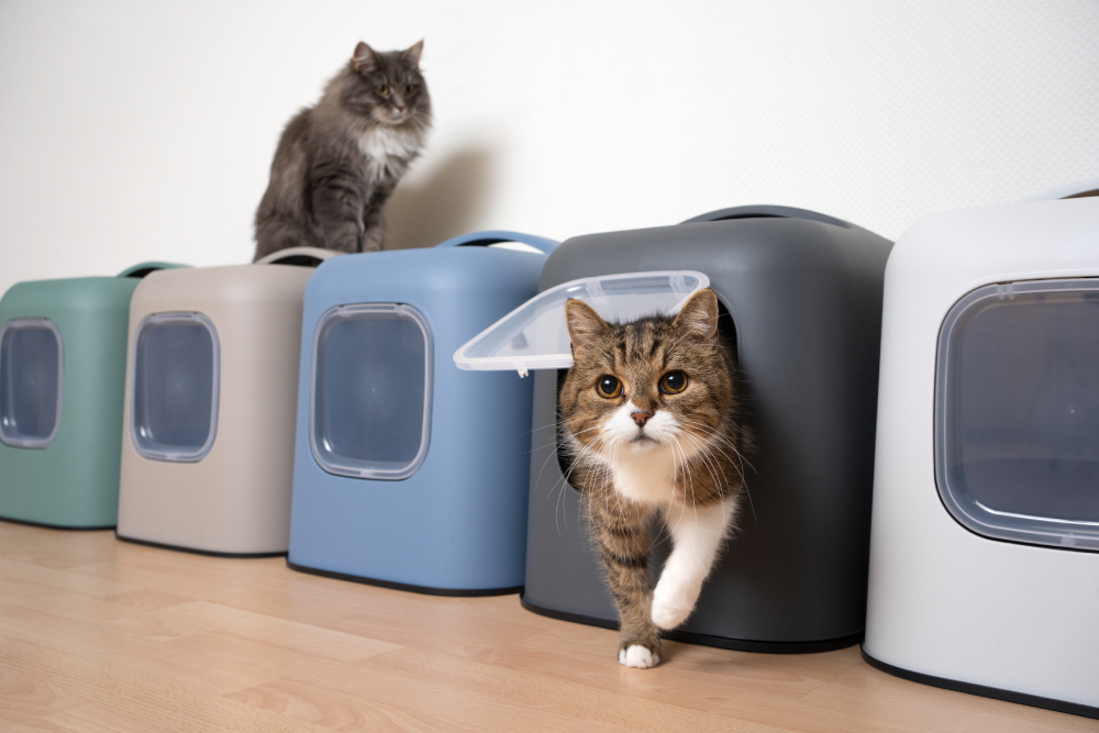 An application scenario or product detail of how often should you clean a cat's litter box - Image 18