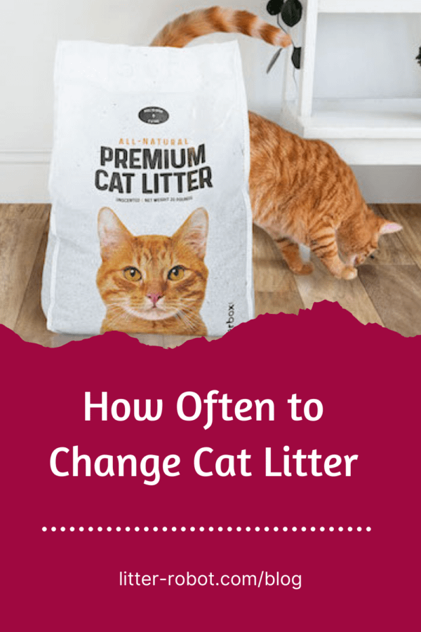 An application scenario or product detail of how often should you completely change cat litter - Image 14