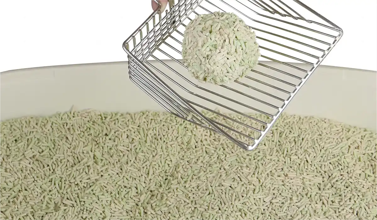 An application scenario or product detail of how often should you empty a litter box - Image 15