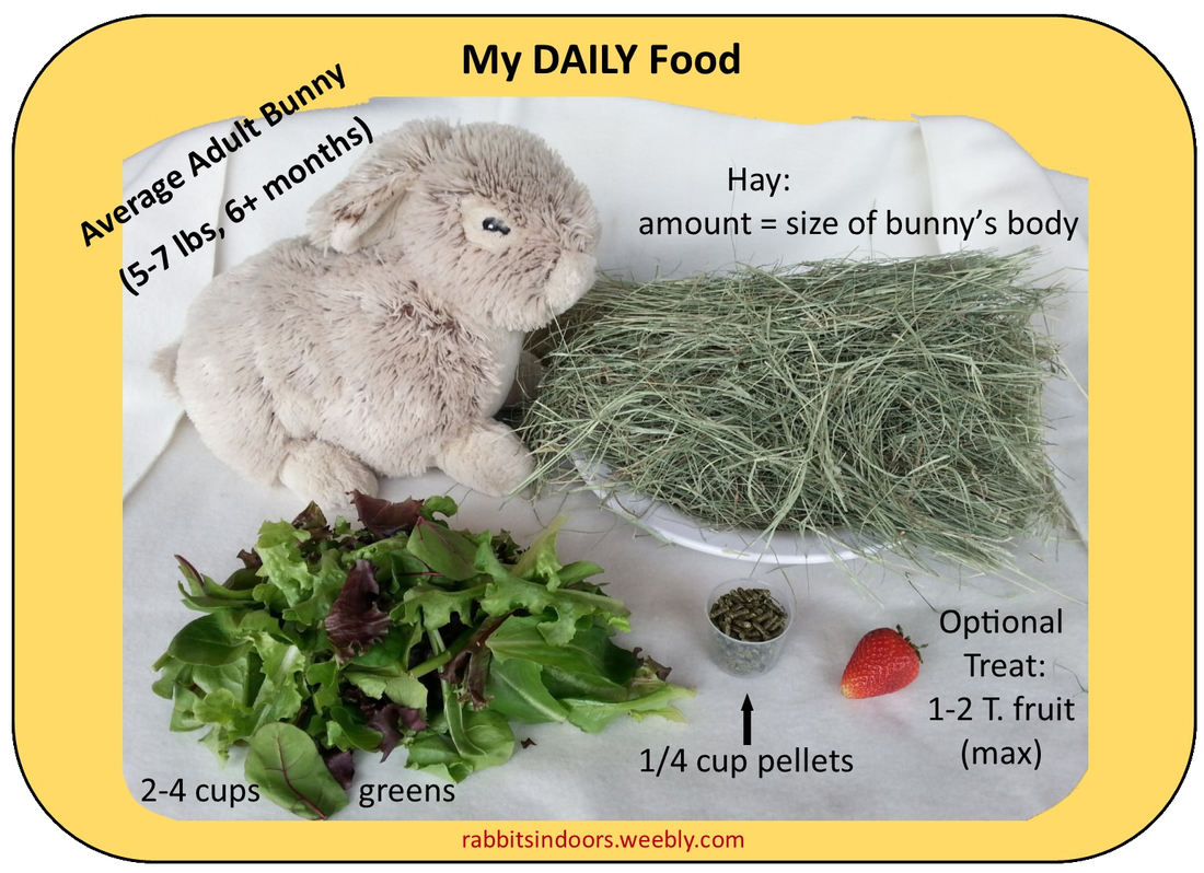 An application scenario or product detail of how often should you feed a bunny - Image 4