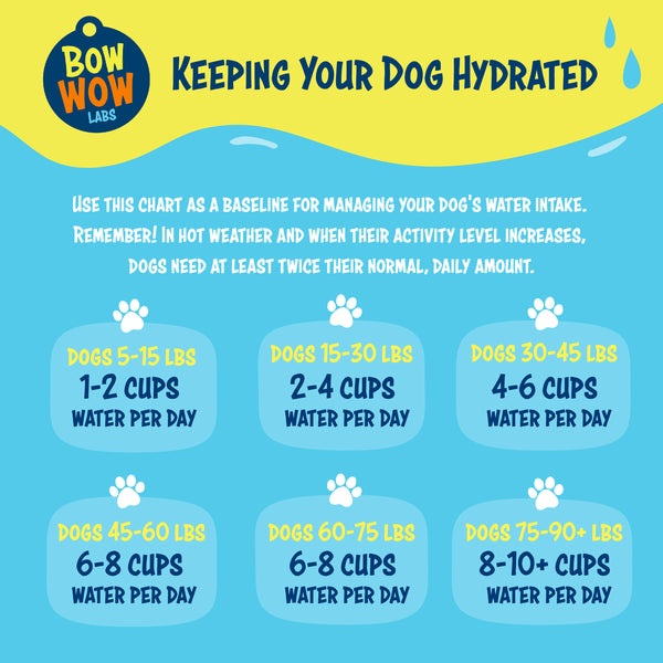 An application scenario or product detail of how often should you give your dog water - Image 9