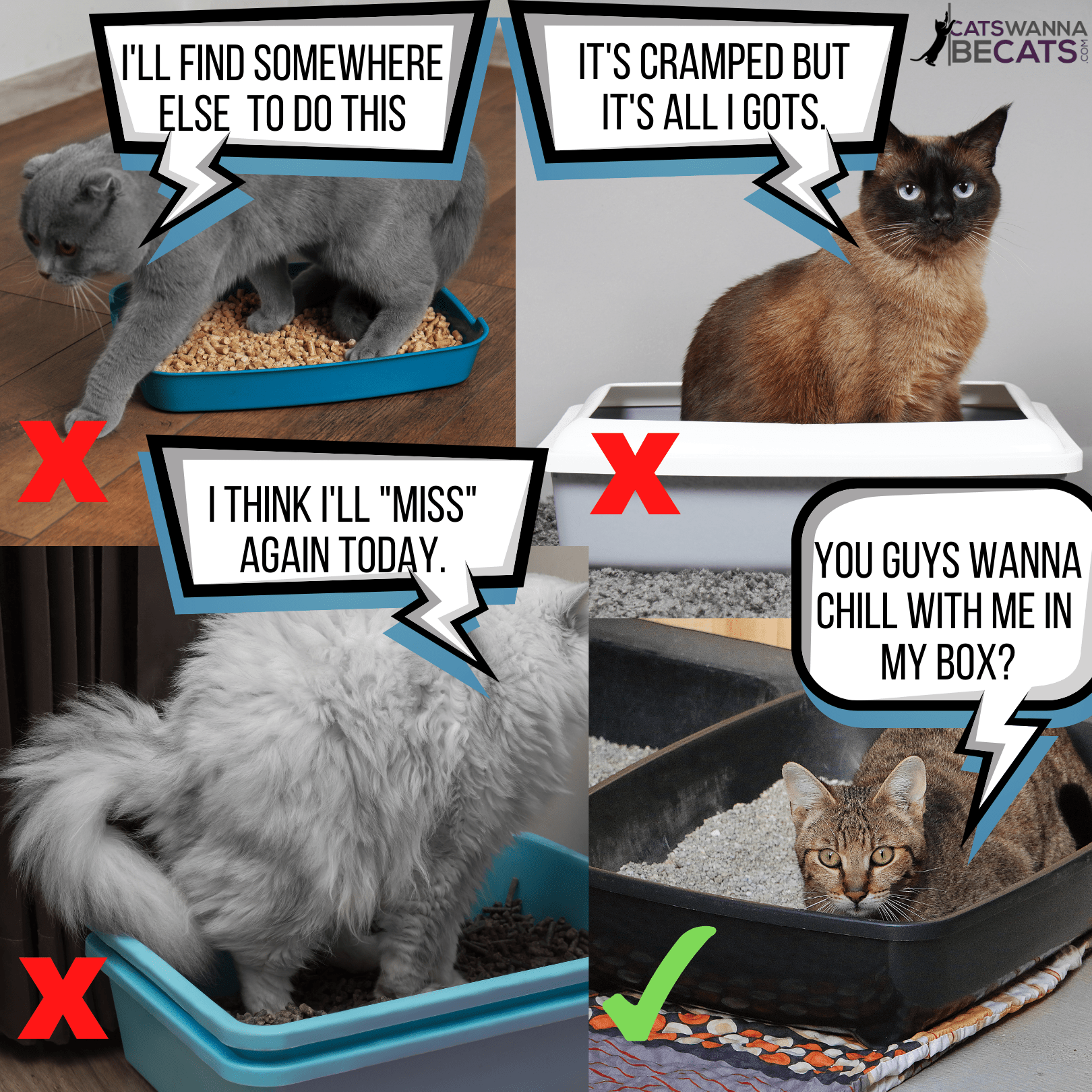 An application scenario or product detail of how often to change cat litter box - Image 8