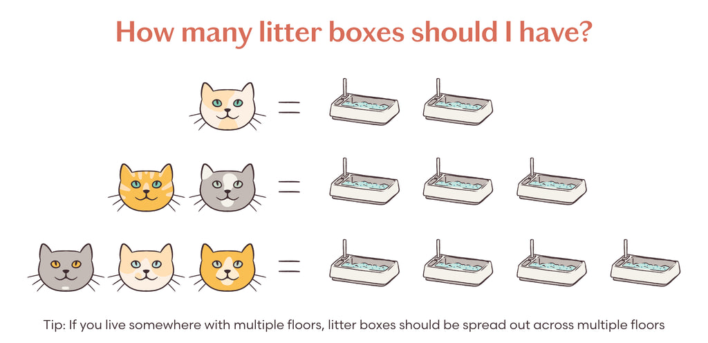 An application scenario or product detail of how often to change cat litter box - Image 11