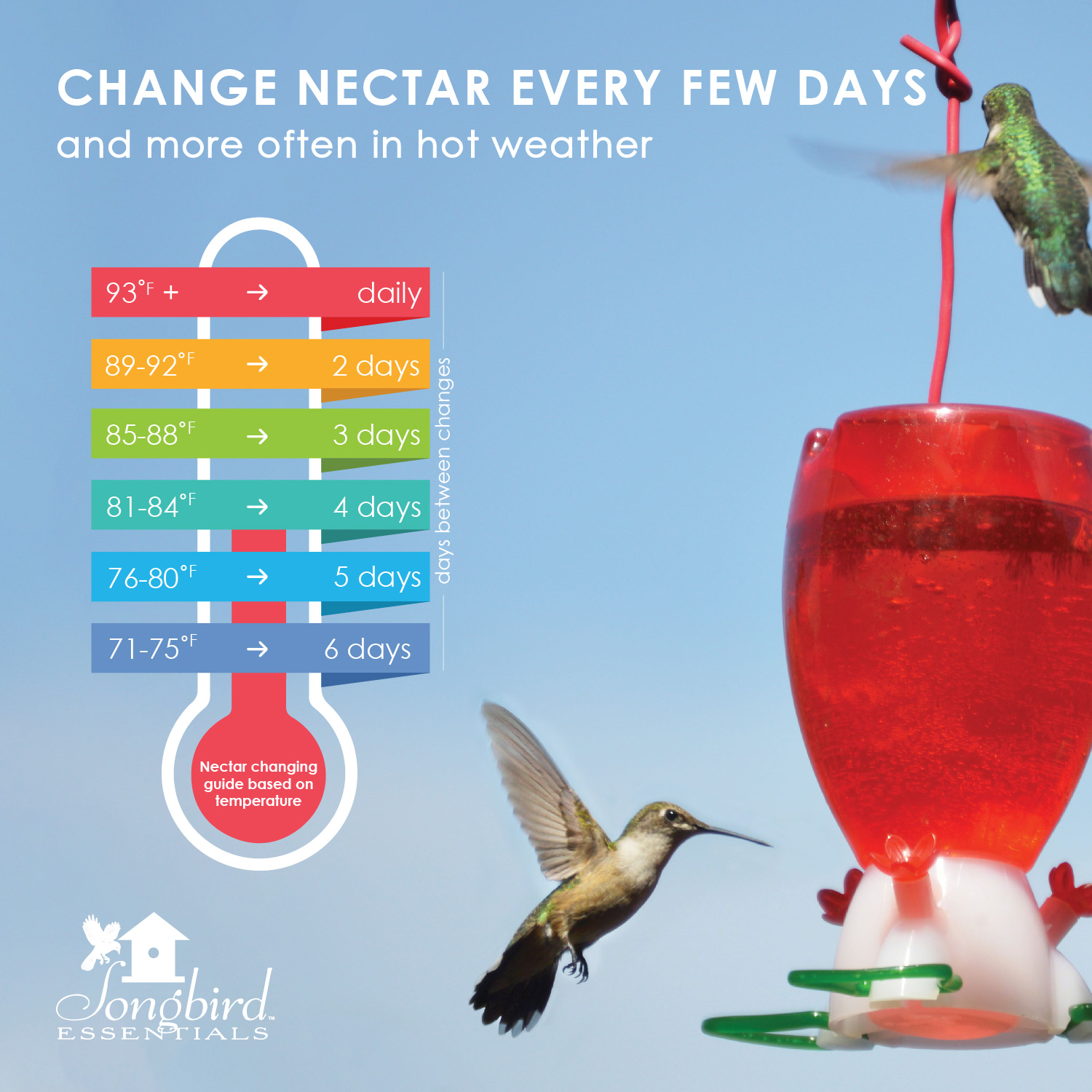 An application scenario or product detail of how often to change hummingbird water - Image 11