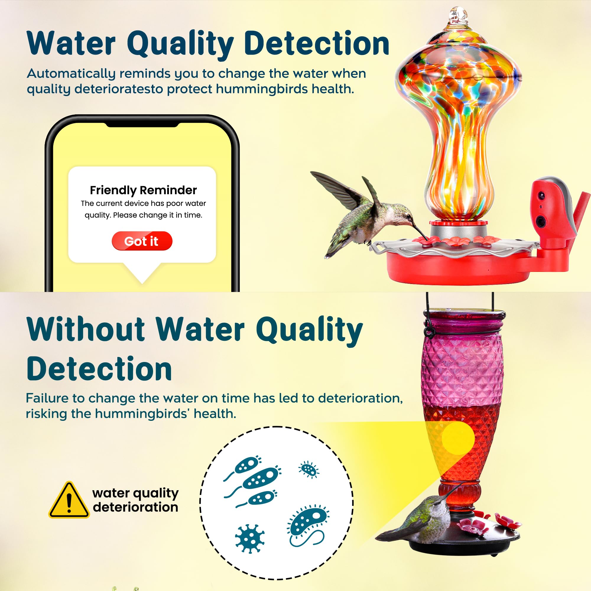 An application scenario or product detail of how often to change hummingbird water - Image 19