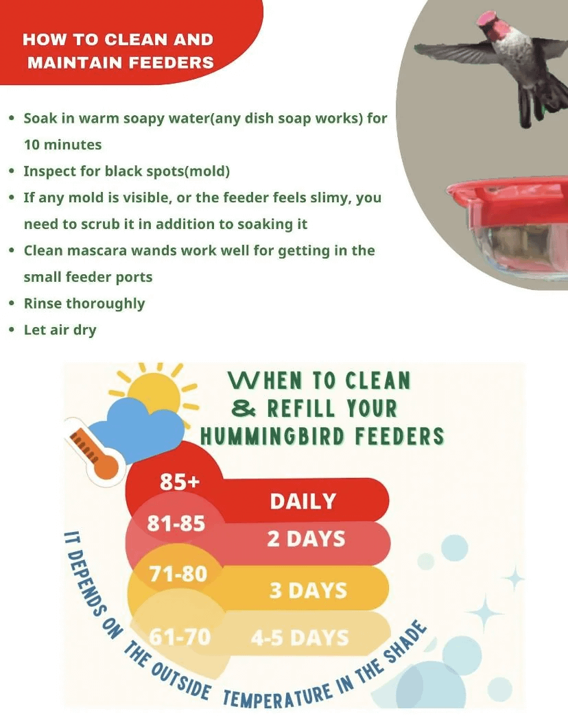 An application scenario or product detail of how often to clean hummingbird feeder - Image 6