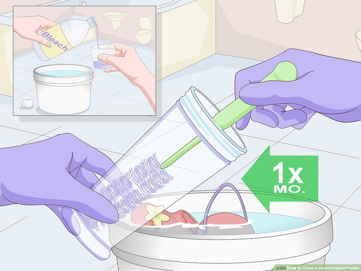 An application scenario or product detail of how often to clean hummingbird feeder - Image 13