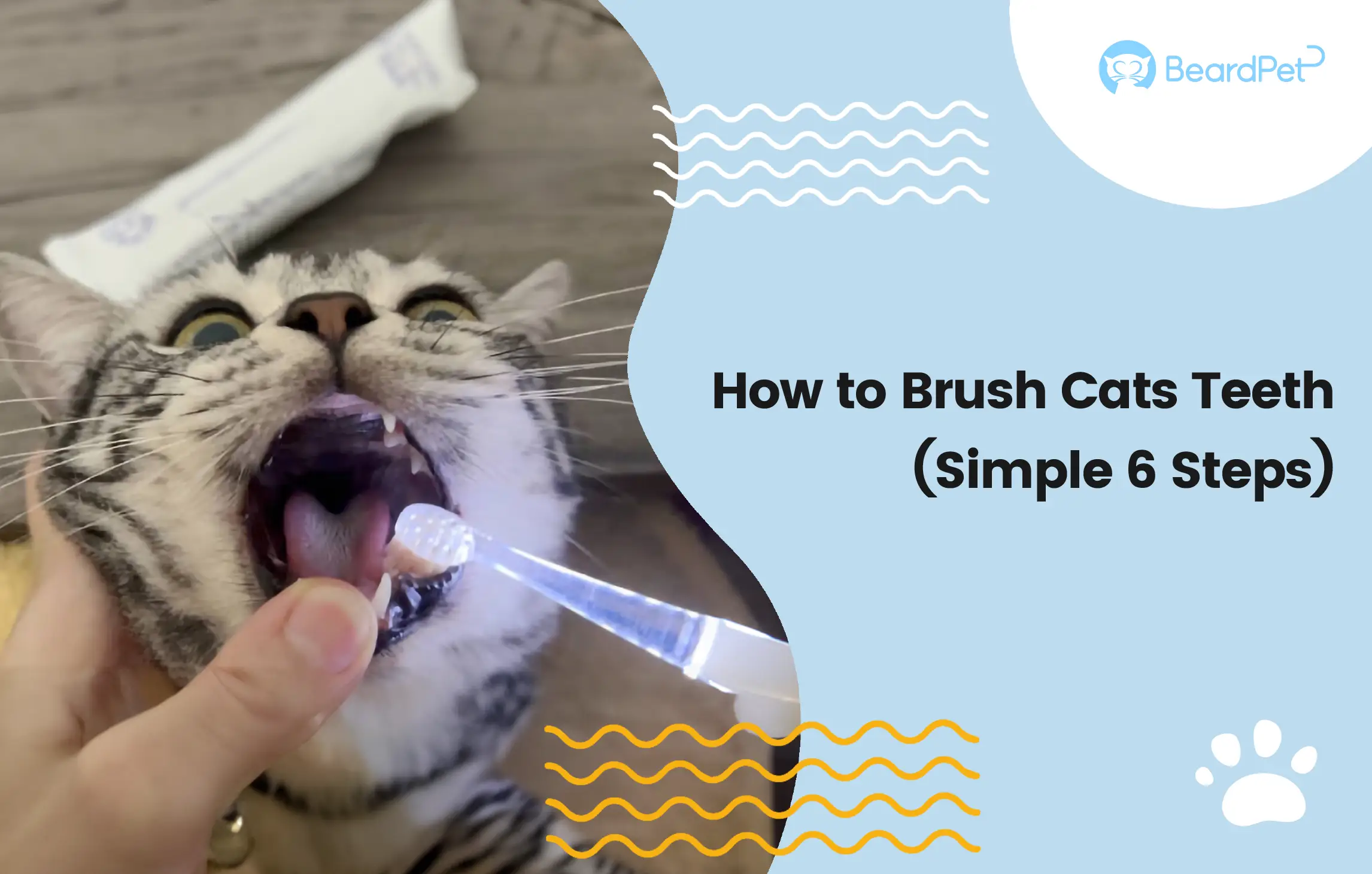 An application scenario or product detail of how to brush cats teeth - Image 16
