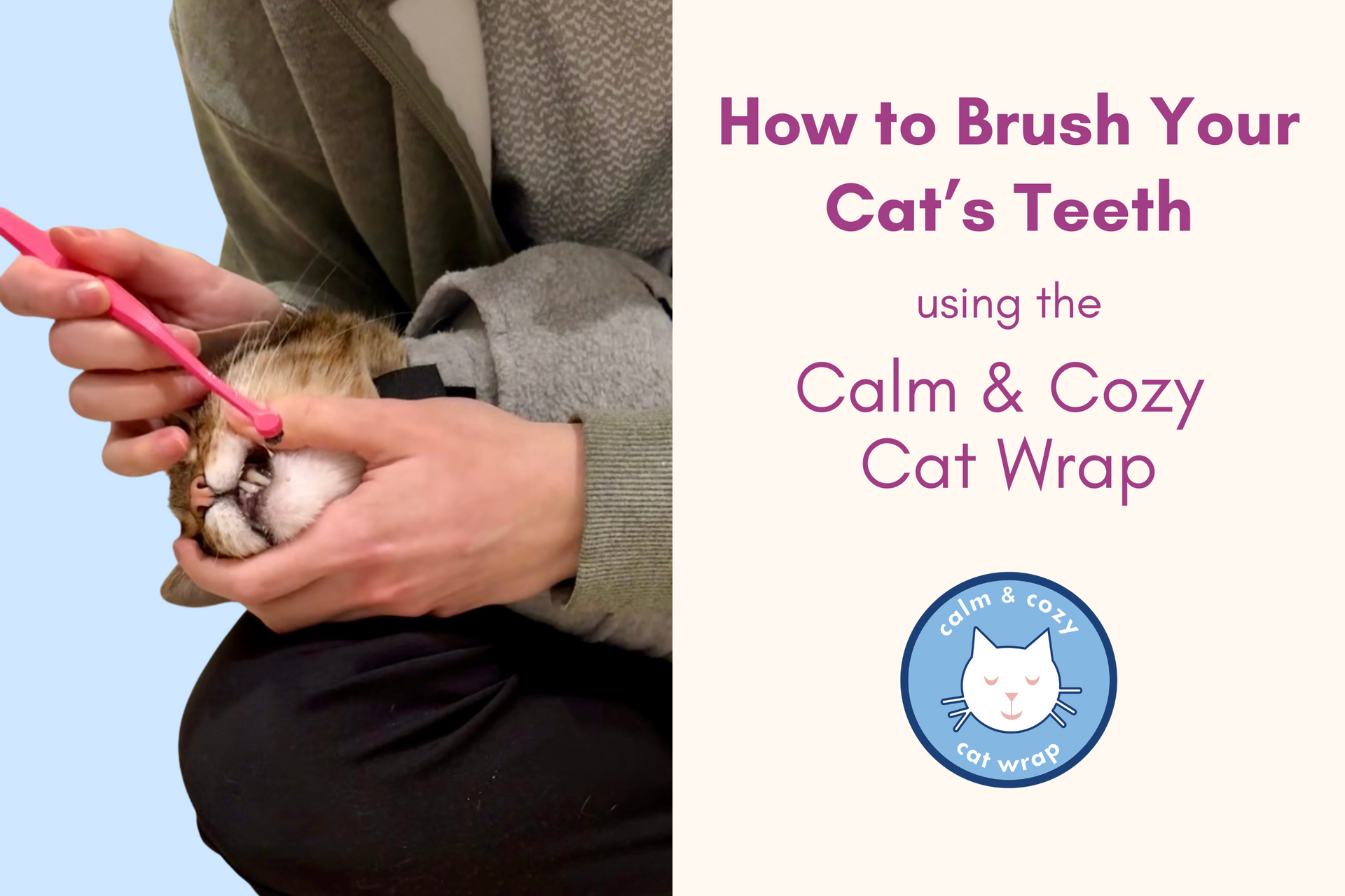 An application scenario or product detail of how to brush your cats teeth - Image 11