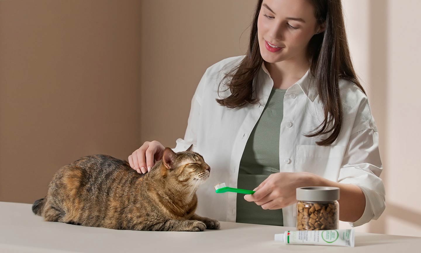 An application scenario or product detail of how to brush your cats teeth - Image 19