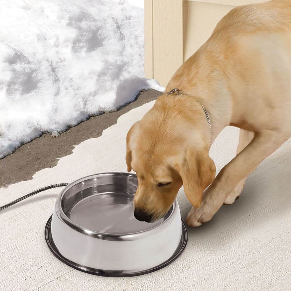 An application scenario or product detail of how to keep a dog's water bowl from freezing - Image 2