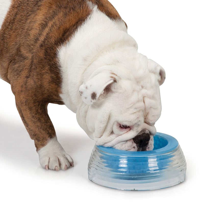 An application scenario or product detail of how to keep a dog's water bowl from freezing - Image 11