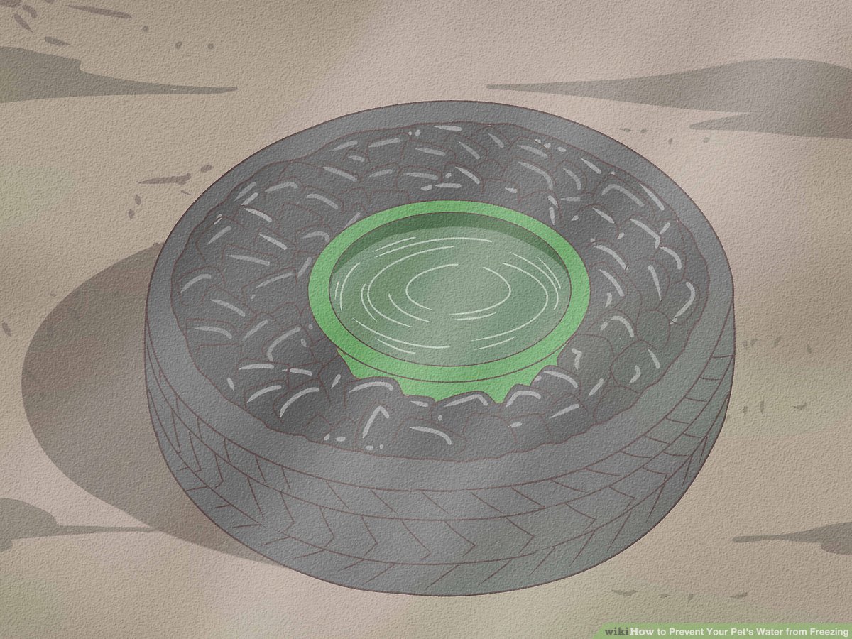 An application scenario or product detail of how to keep a dog's water bowl from freezing - Image 16