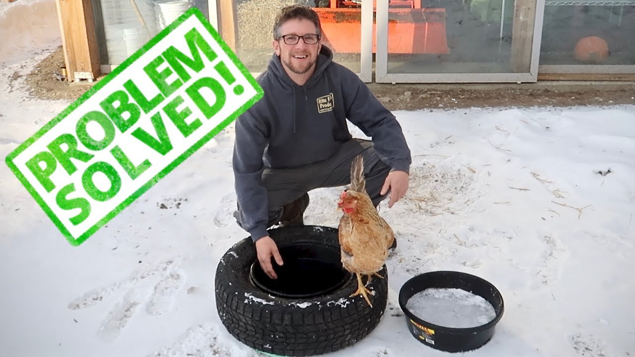 An application scenario or product detail of how to keep a dog's water bowl from freezing - Image 20