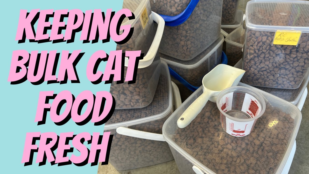 An application scenario or product detail of how to keep cat food fresh - Image 1