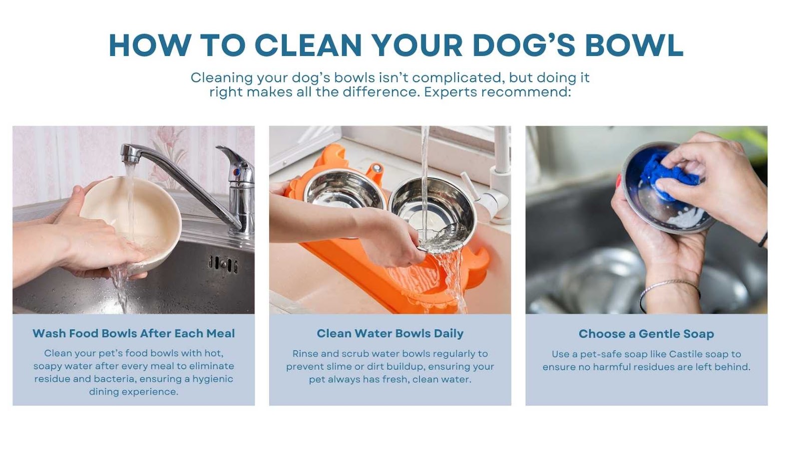 An application scenario or product detail of how to keep dog water clean - Image 2