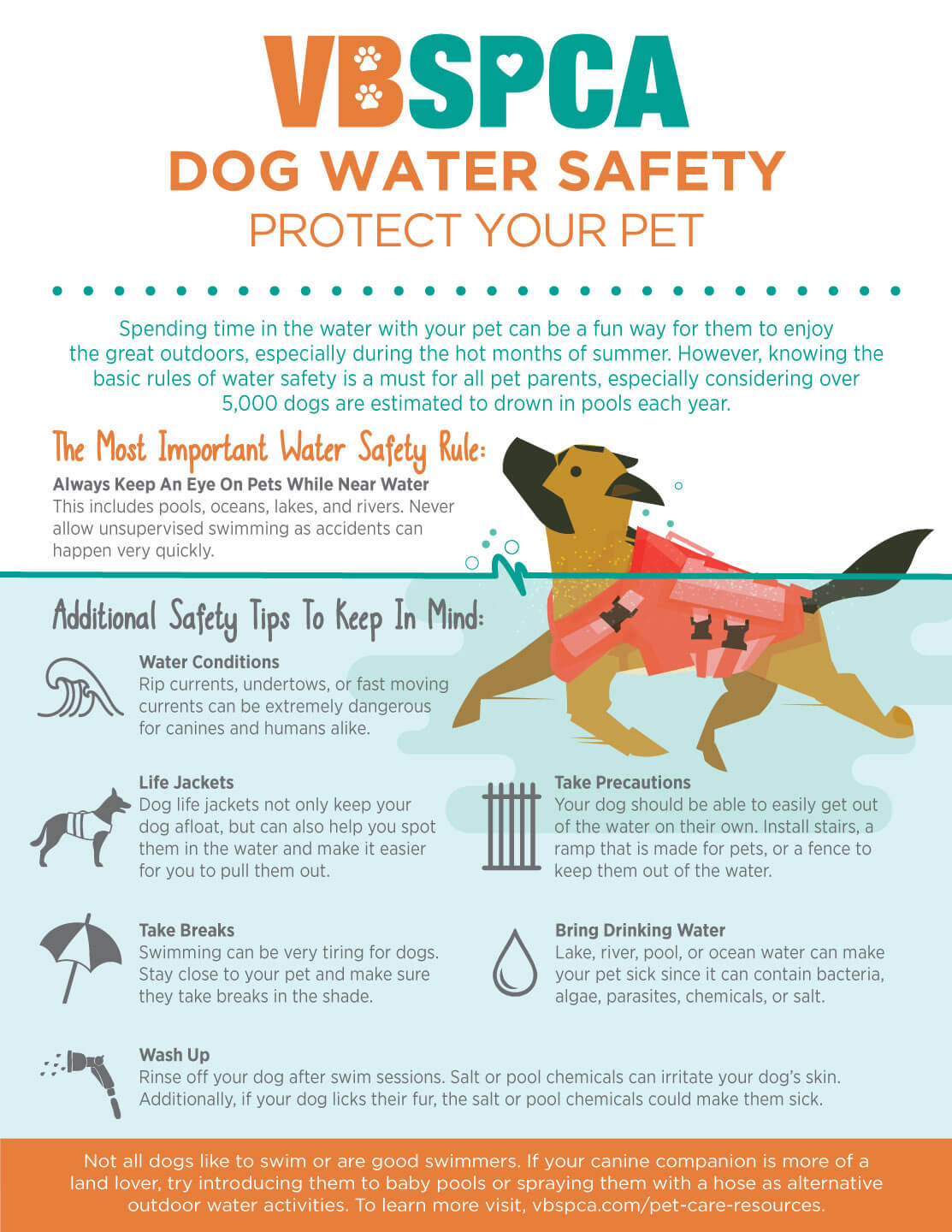 An application scenario or product detail of how to keep dog water clean - Image 15