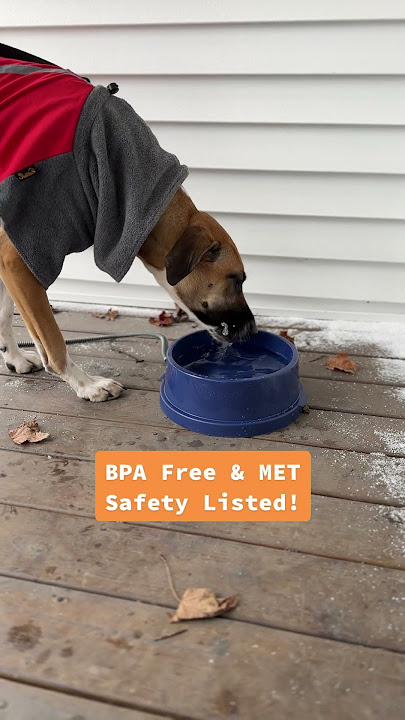 An application scenario or product detail of how to keep water from freezing in dog bowl - Image 16