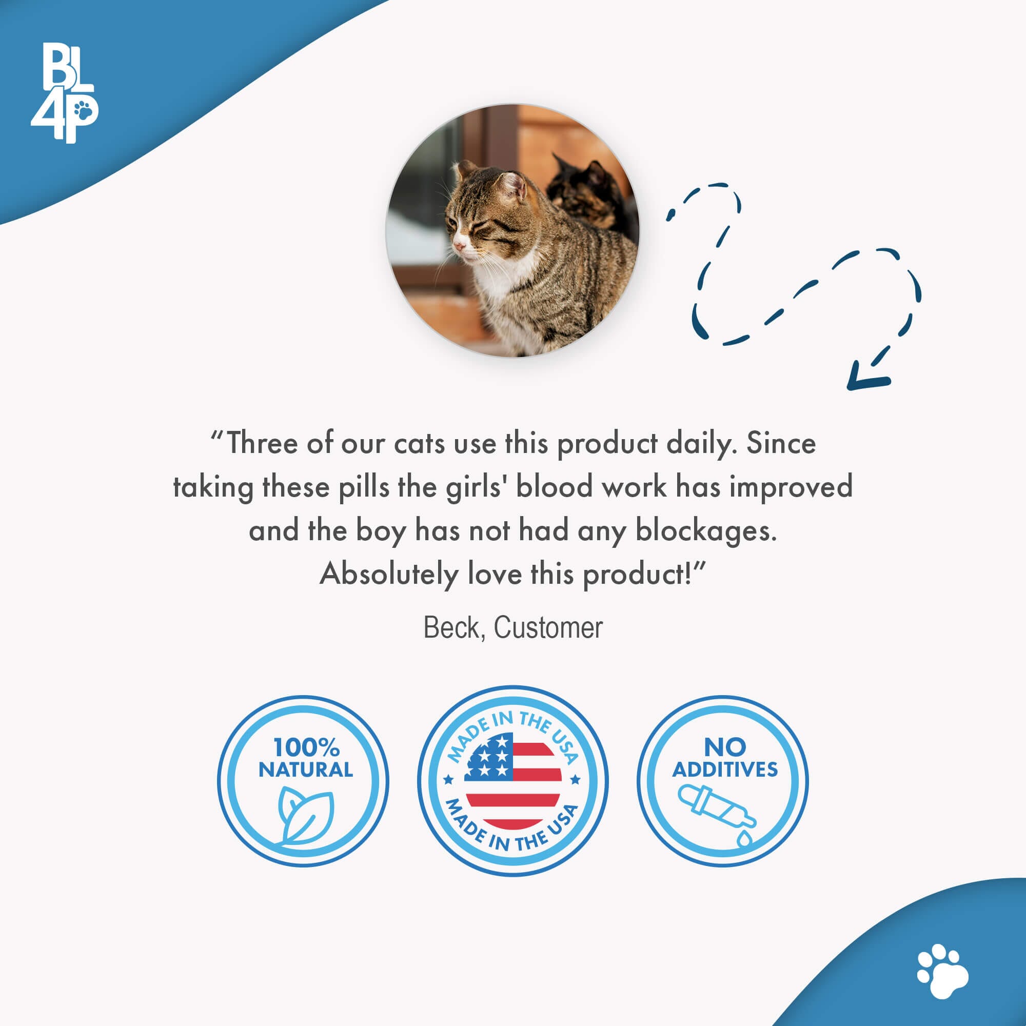 An application scenario or product detail of how to prevent bladder infections in cats - Image 15