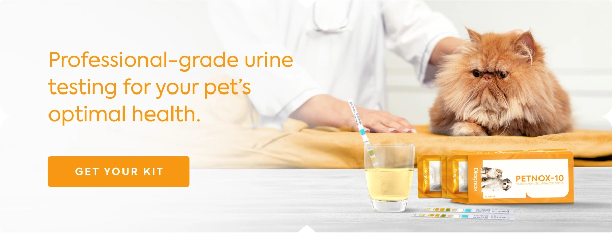 An application scenario or product detail of how to prevent cat uti - Image 16