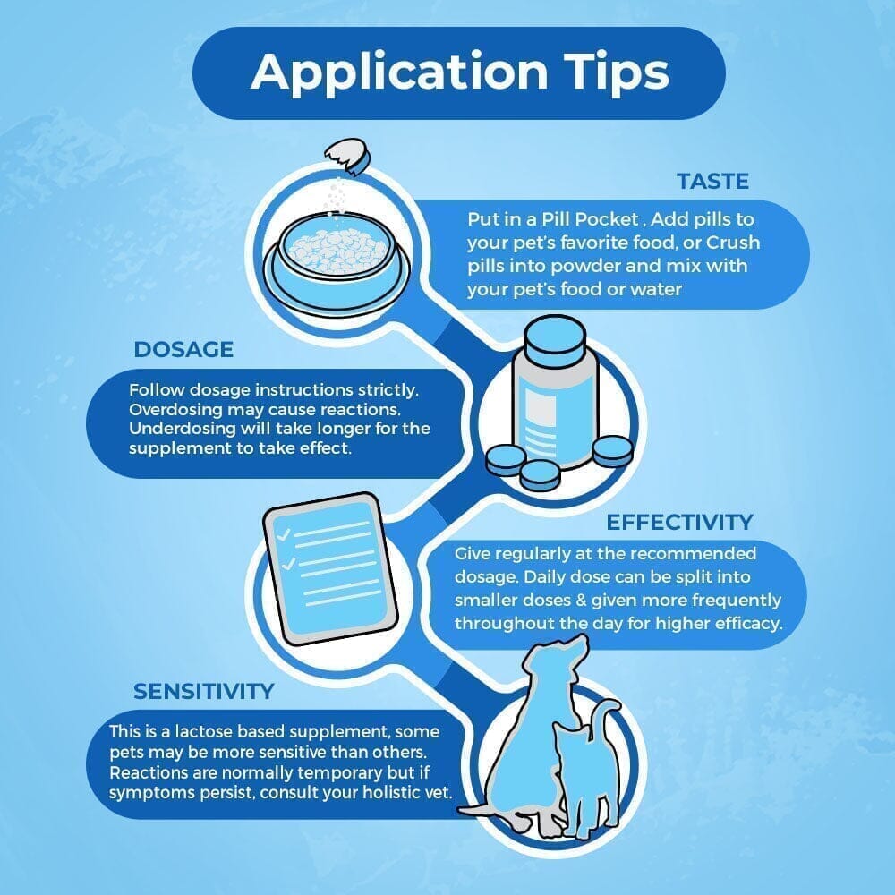 An application scenario or product detail of how to prevent cat uti - Image 22