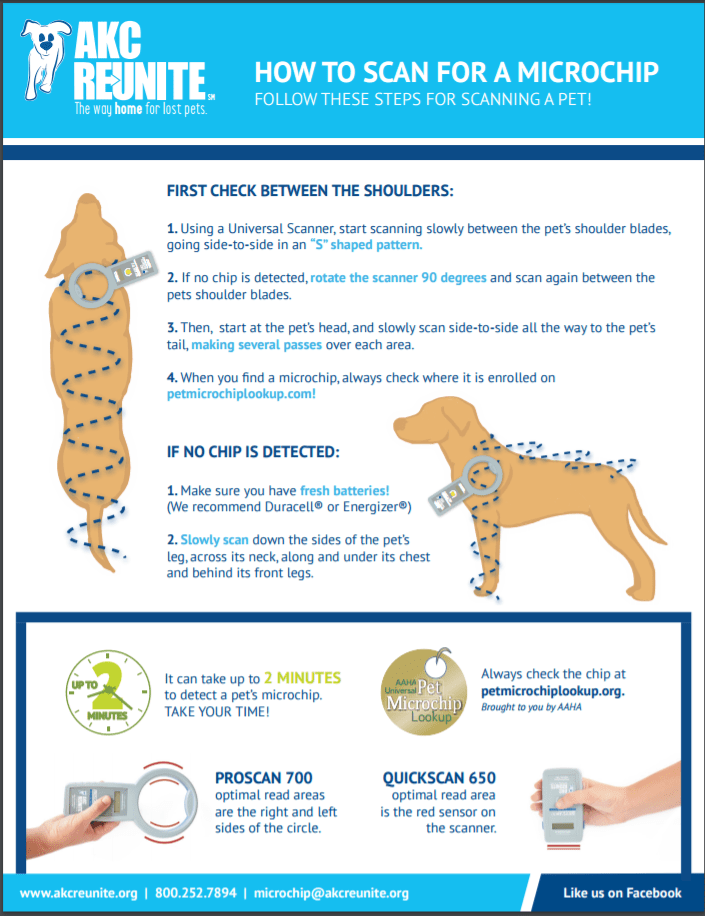 An application scenario or product detail of how to track a microchipped dog - Image 7