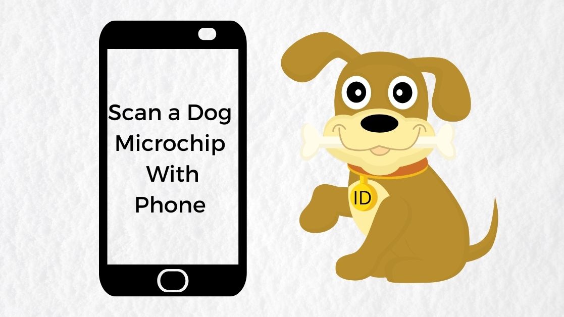 An application scenario or product detail of how to track a microchipped dog - Image 18