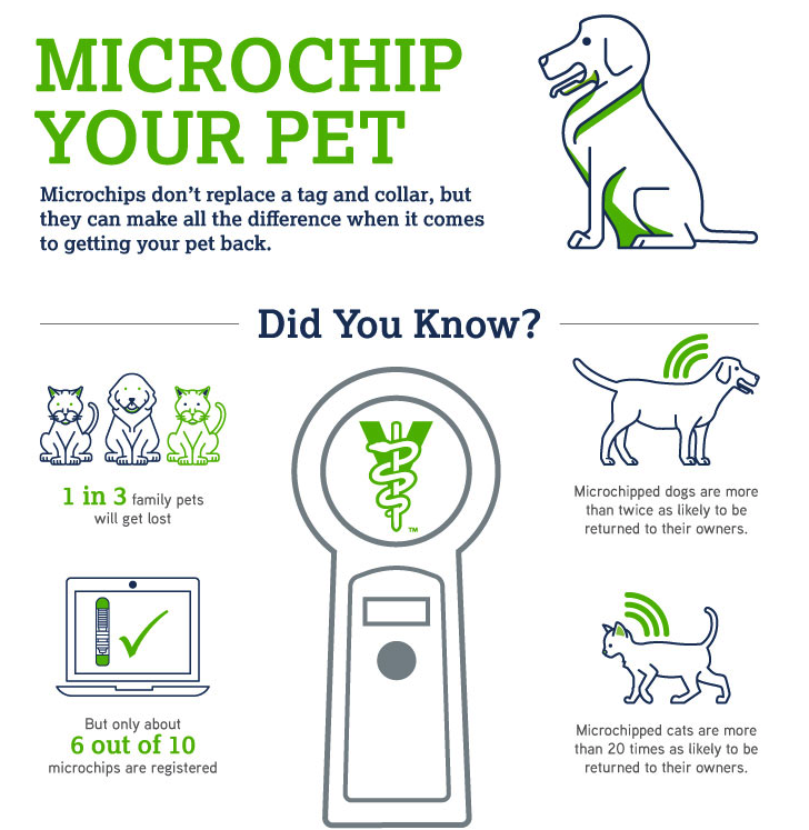 An application scenario or product detail of how to track a microchipped dog - Image 20
