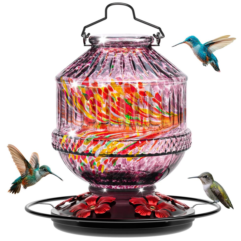 An application scenario or product detail of hummingbird feeder location - Image 22