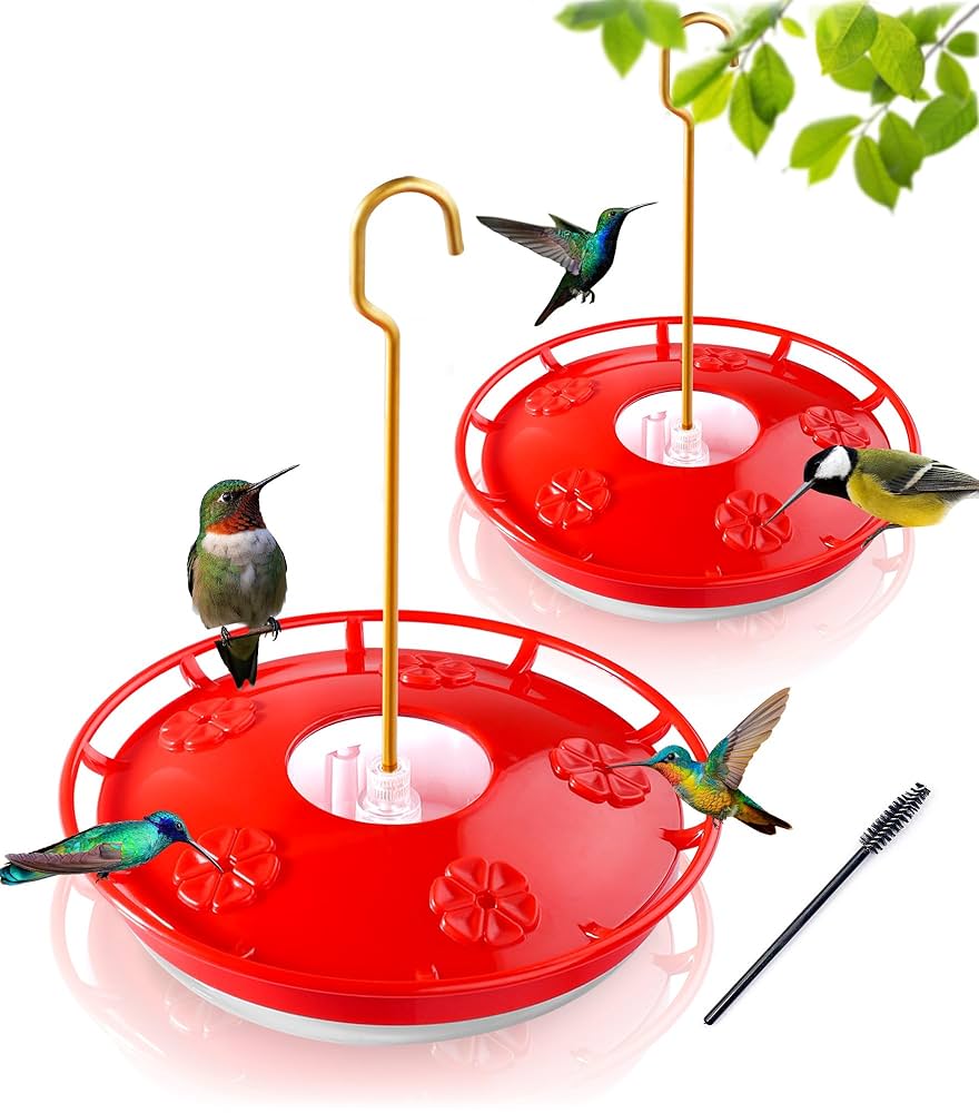 An application scenario or product detail of hummingbird feeder location - Image 24