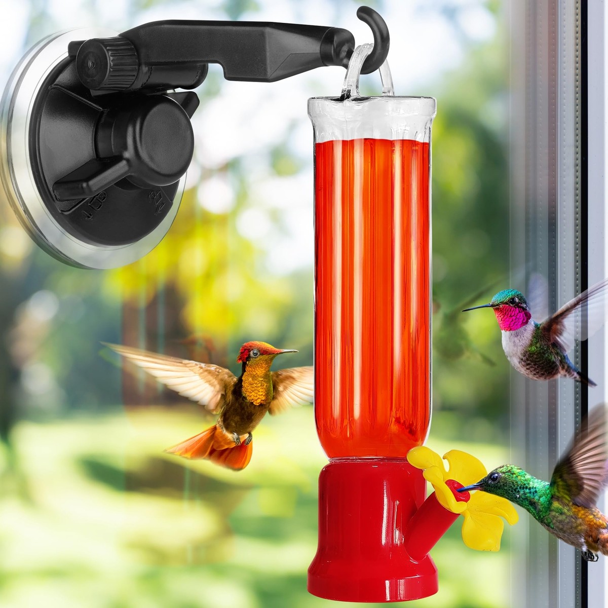 An application scenario or product detail of hummingbird feeder placement - Image 9