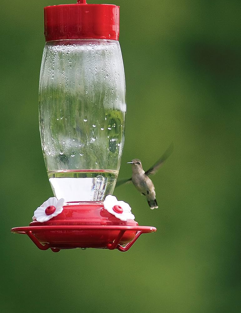 An application scenario or product detail of hummingbird feeder placement - Image 15