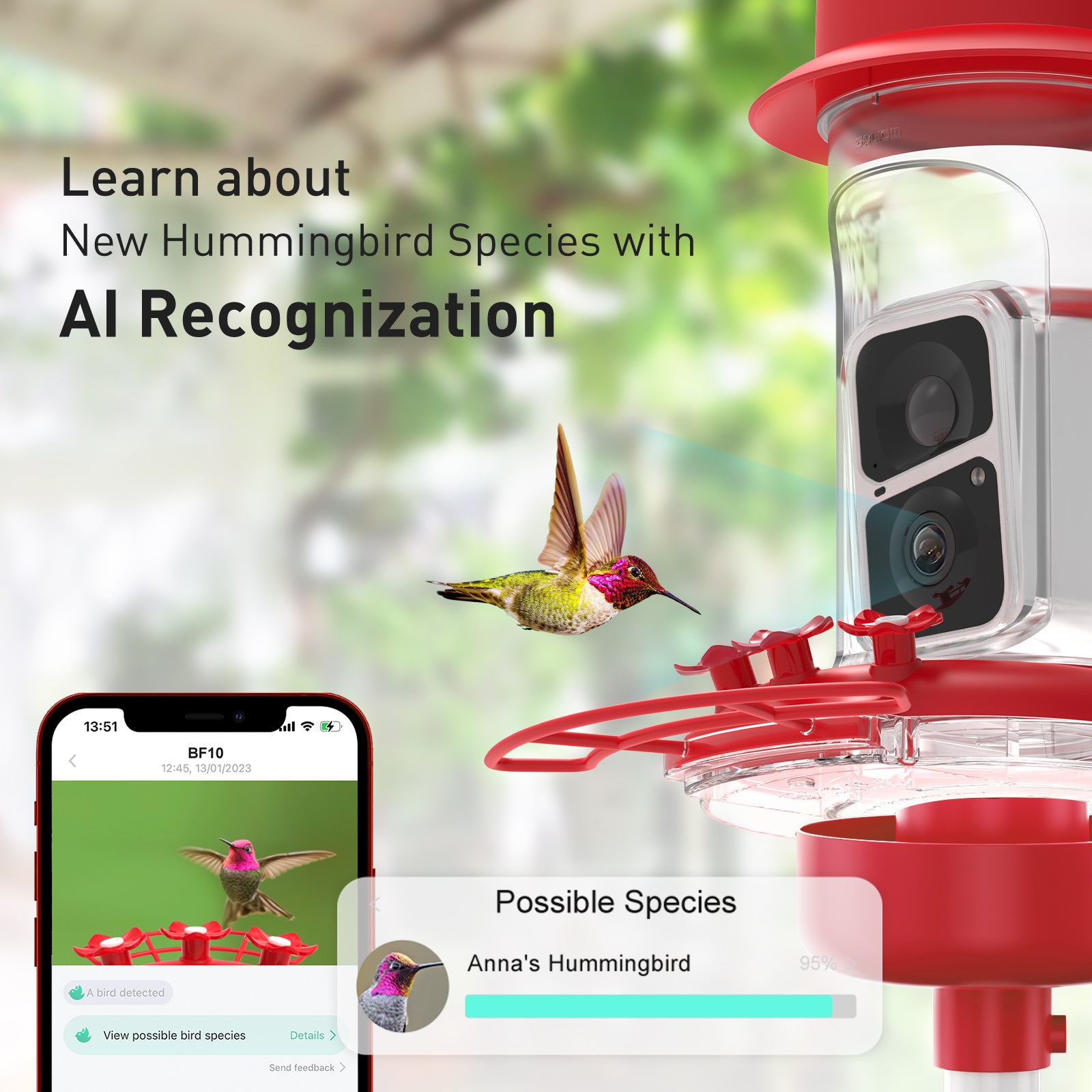 An application scenario or product detail of hummingbird feeder placement - Image 18