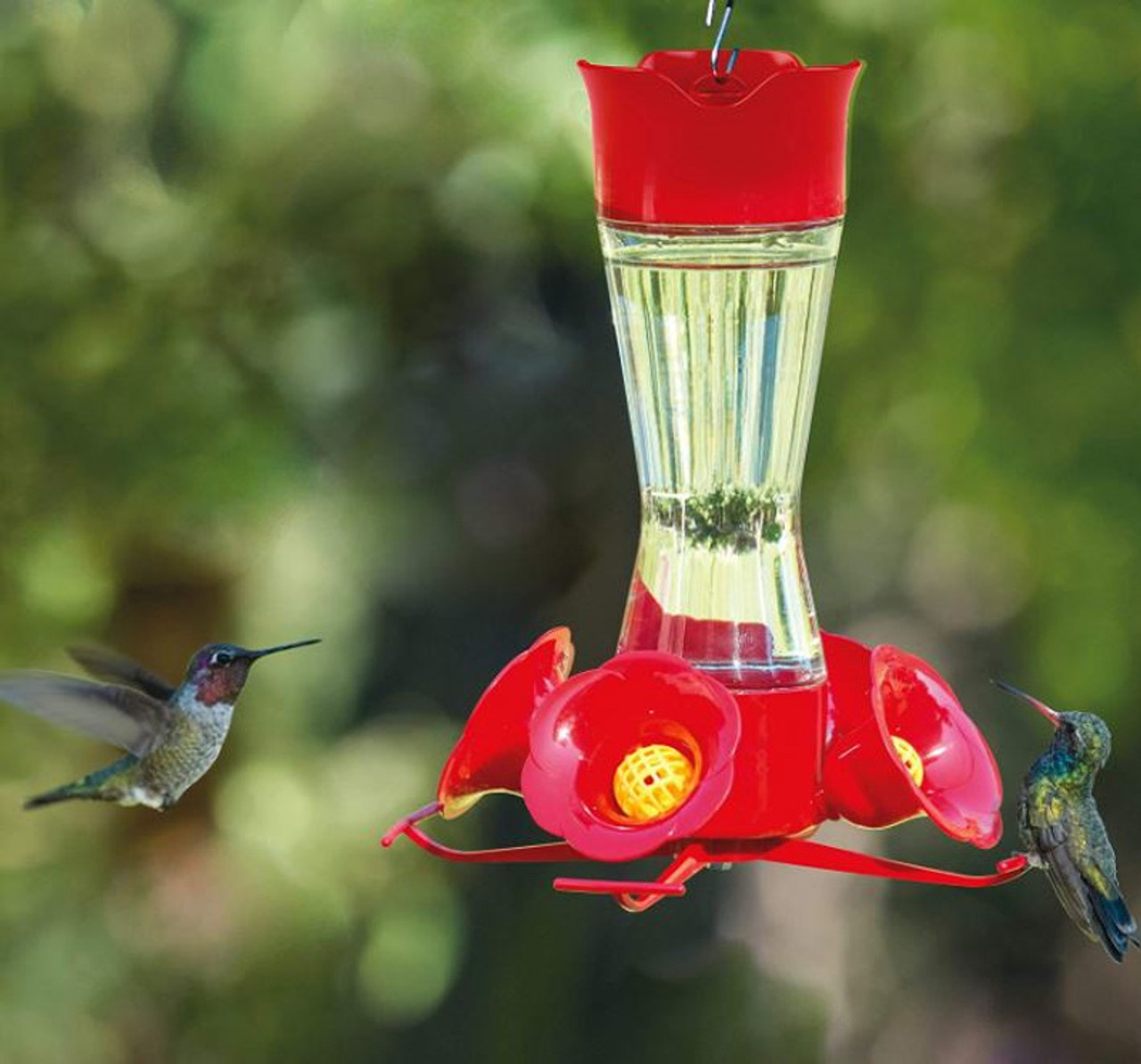 An application scenario or product detail of hummingbird feeder placement - Image 19