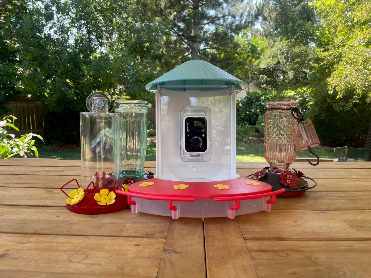 An application scenario or product detail of ideal location for hummingbird feeder - Image 12