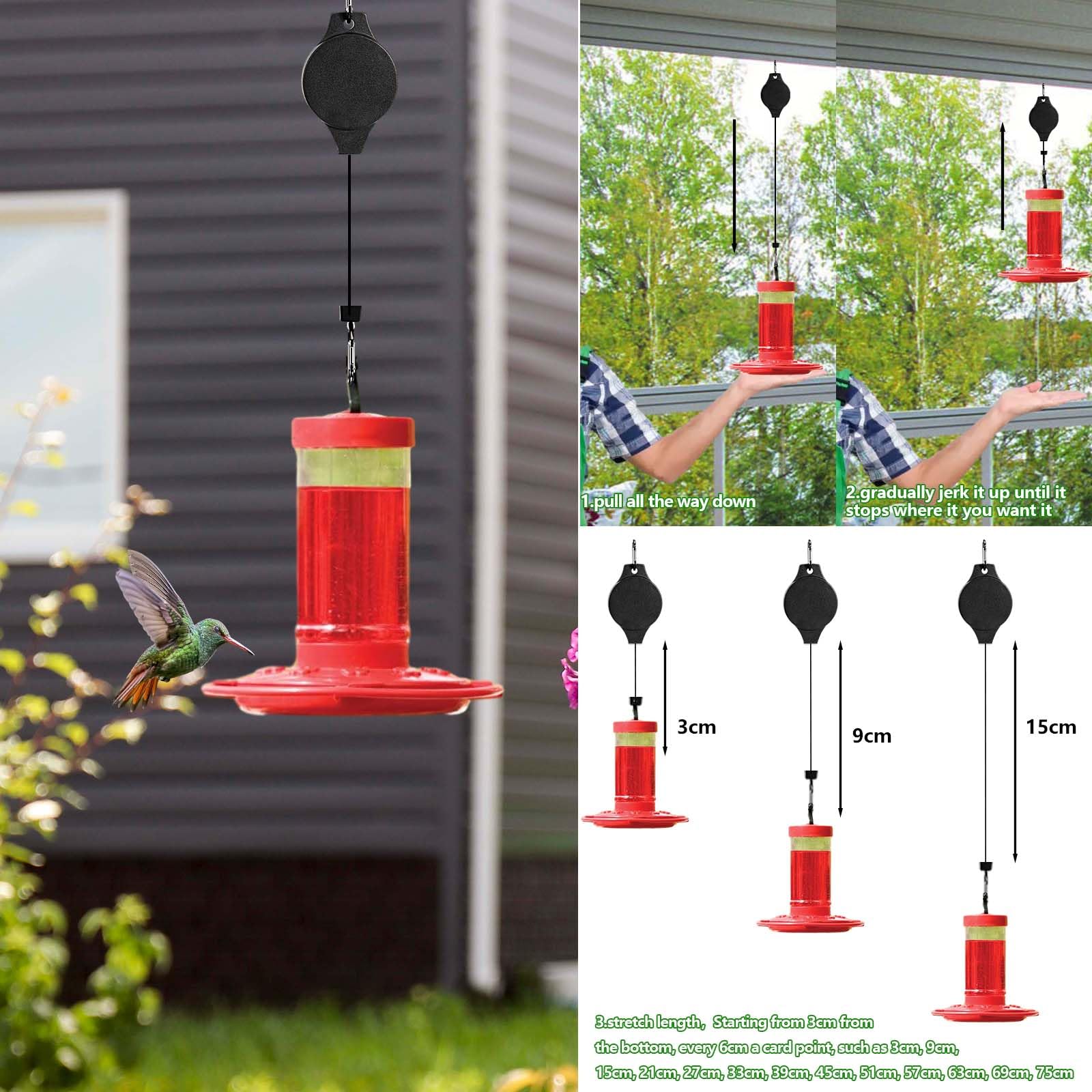 An application scenario or product detail of ideal location for hummingbird feeder - Image 13
