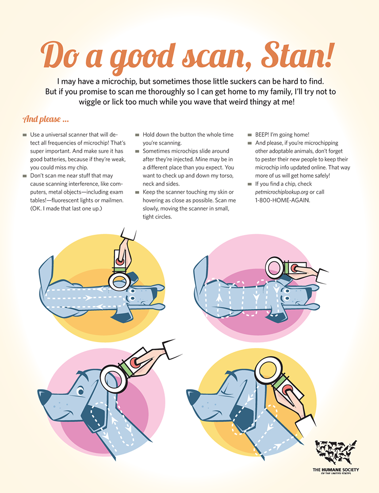 An application scenario or product detail of if your dog is chipped can you track them - Image 5