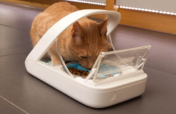 An application scenario or product detail of individual cat feeder - Image 2