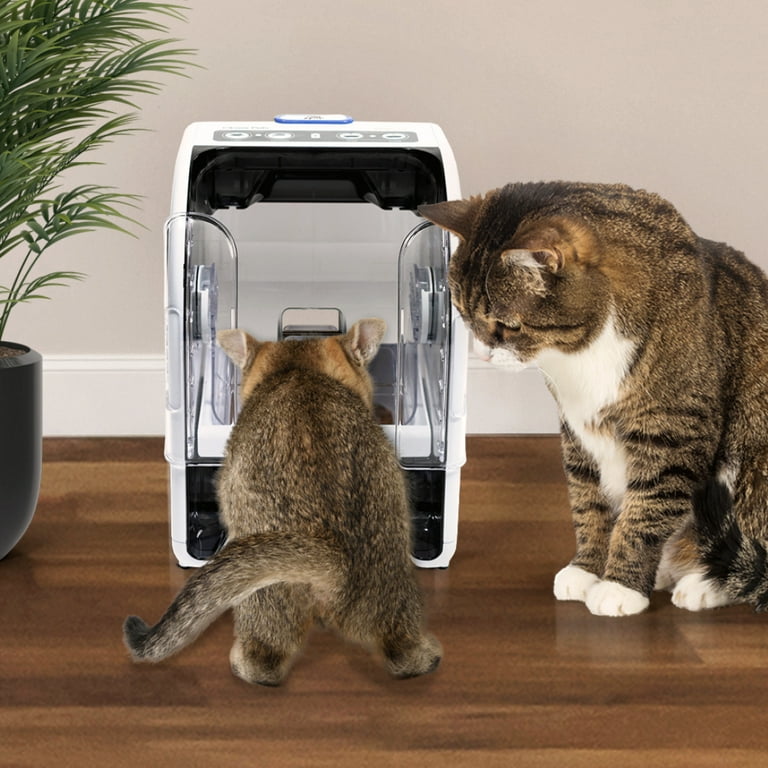 An application scenario or product detail of individual cat feeder - Image 17