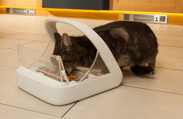 An application scenario or product detail of individual cat feeder - Image 19